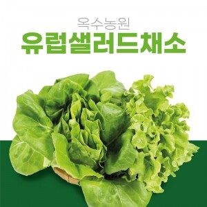 [옥수농원] 유럽샐러드채소(1㎏, 2㎏)