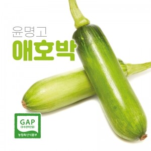[윤명고] GAP인증 애호박 (10개)