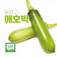 [윤명고] GAP인증 애호박 (10개)