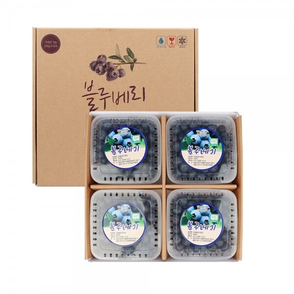 진주드림 쇼핑몰,[드림농원] GAP 인증, 왕 블루베리 1kg(250g*4팩)