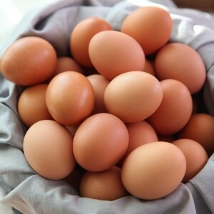 [금포영농조합법인] 알부자집 계란