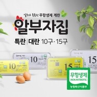 [금포영농조합법인] 알부자집 특란/대란(15구)