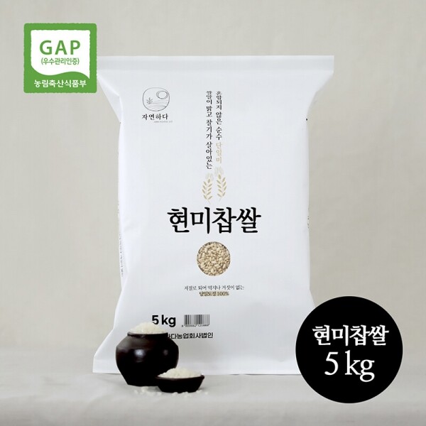 진주드림 쇼핑몰,[자연하다] 2024년 GAP 찹쌀/현미찹쌀(1㎏,5㎏)