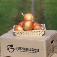 [푸른드림영농조합법인] 양파(5㎏/10㎏)