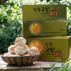 [금월농장] 명품 신고배 GAP 선물세트(15㎏)