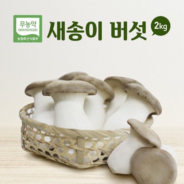 진주드림 쇼핑몰,[경남농업살림영농조합법인] 무농약 새송이버섯 2kg
