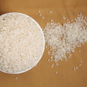 [진주시농협쌀조합공동사업법인] 참햇쌀 영호진미(10kg, 20kg)
