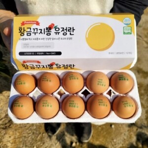 [임마누엘농장] 황금꾸지뽕 먹인 난각번호1번 유정란 계란 달걀