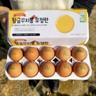 [임마누엘농장] 황금꾸지뽕 먹인 난각번호1번 유정란 계란 달걀