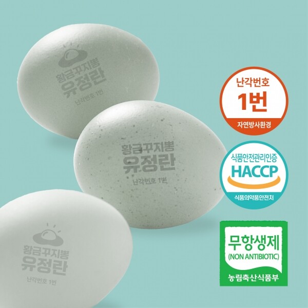 진주드림 쇼핑몰,[임마누엘농장] 황금꾸지뽕 먹인 난각번호1번 청계유정란 계란 달걀