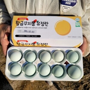 [임마누엘농장] 황금꾸지뽕 먹인 난각번호1번 청계유정란 계란 달걀