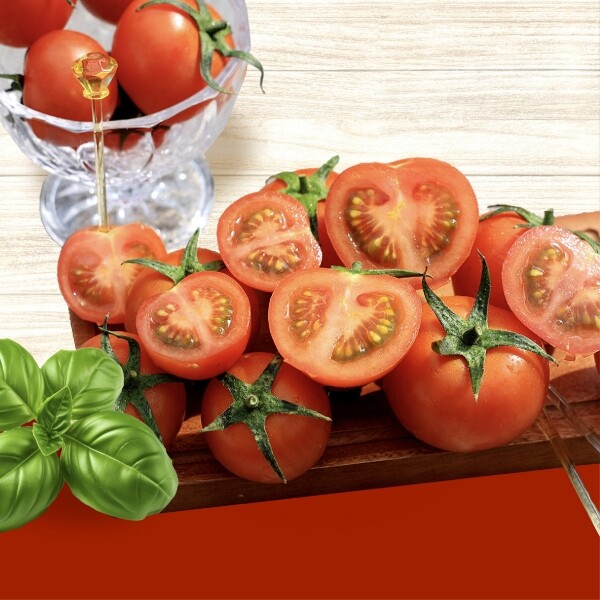 진주드림 쇼핑몰,[일심농장]파파스 왕방울 토마토 2kg, 5kg