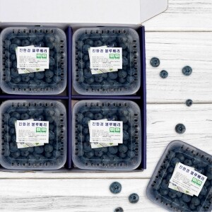 [베리굼농장] 무농약 블루베리 1kg(250g*4)